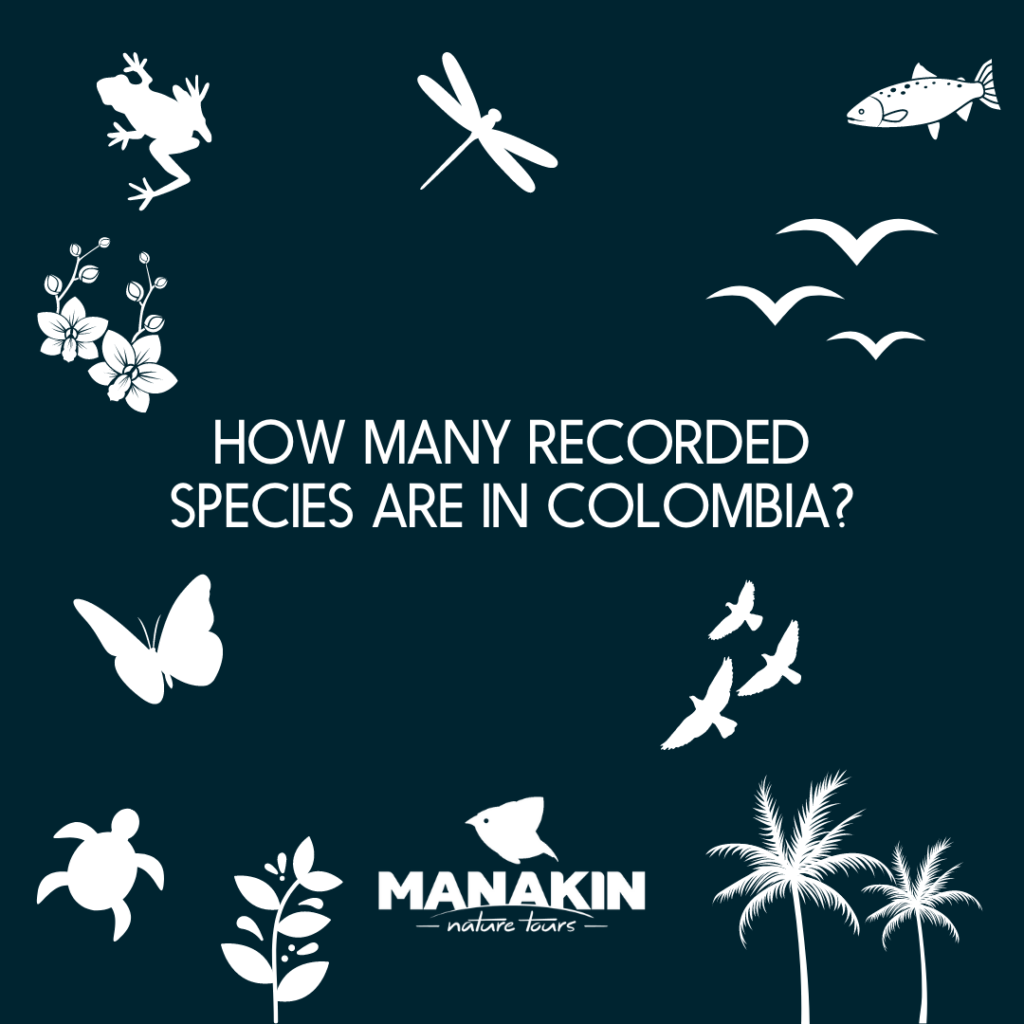 Why is Colombia the Most Biodiverse Country on the Planet? - Manakin ...