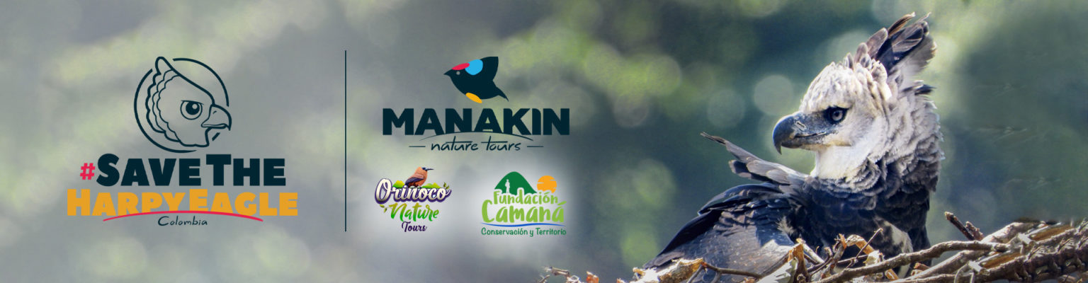 manakin birding tours