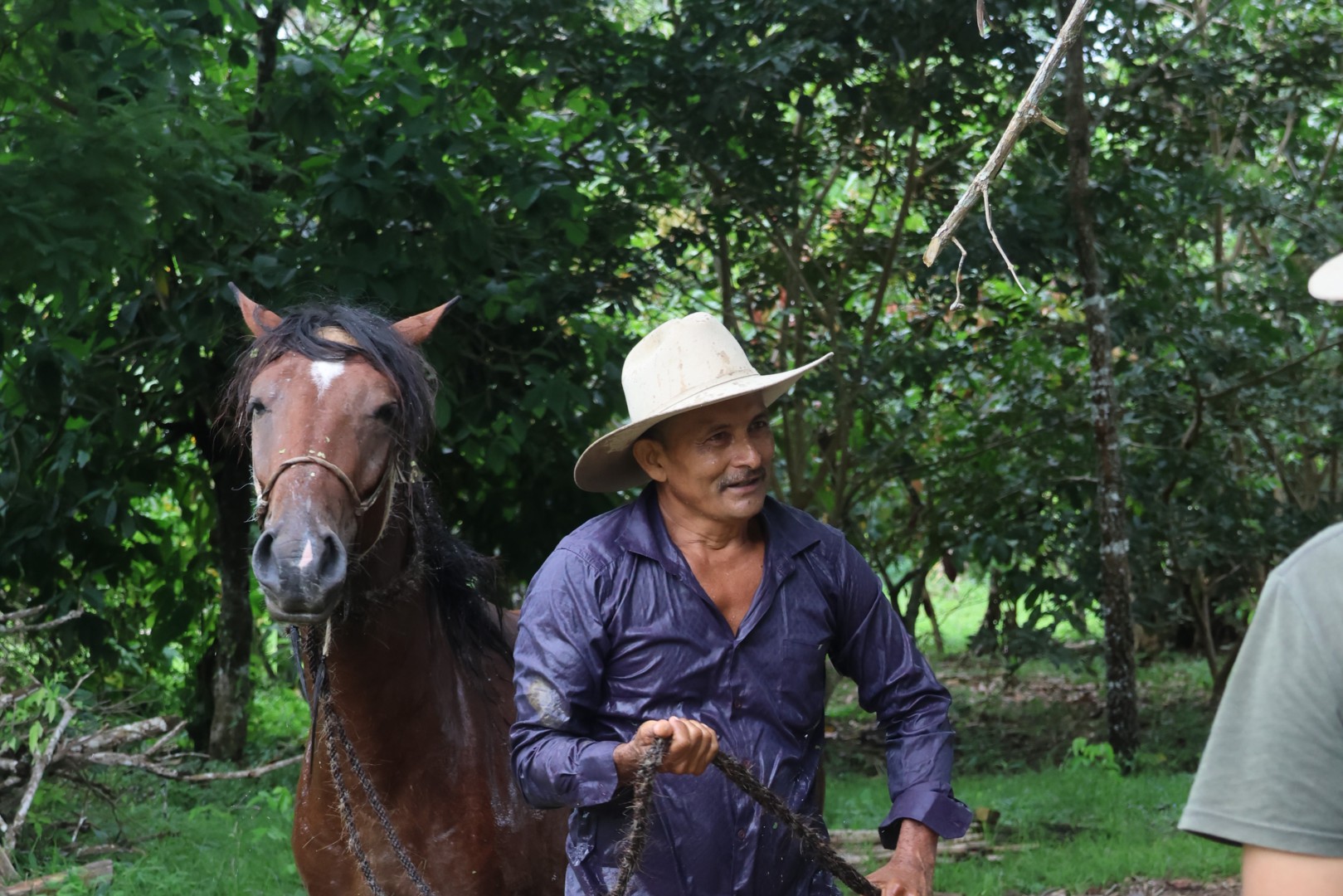 An Introduction To The Paramos And The Plains With The Nature ...