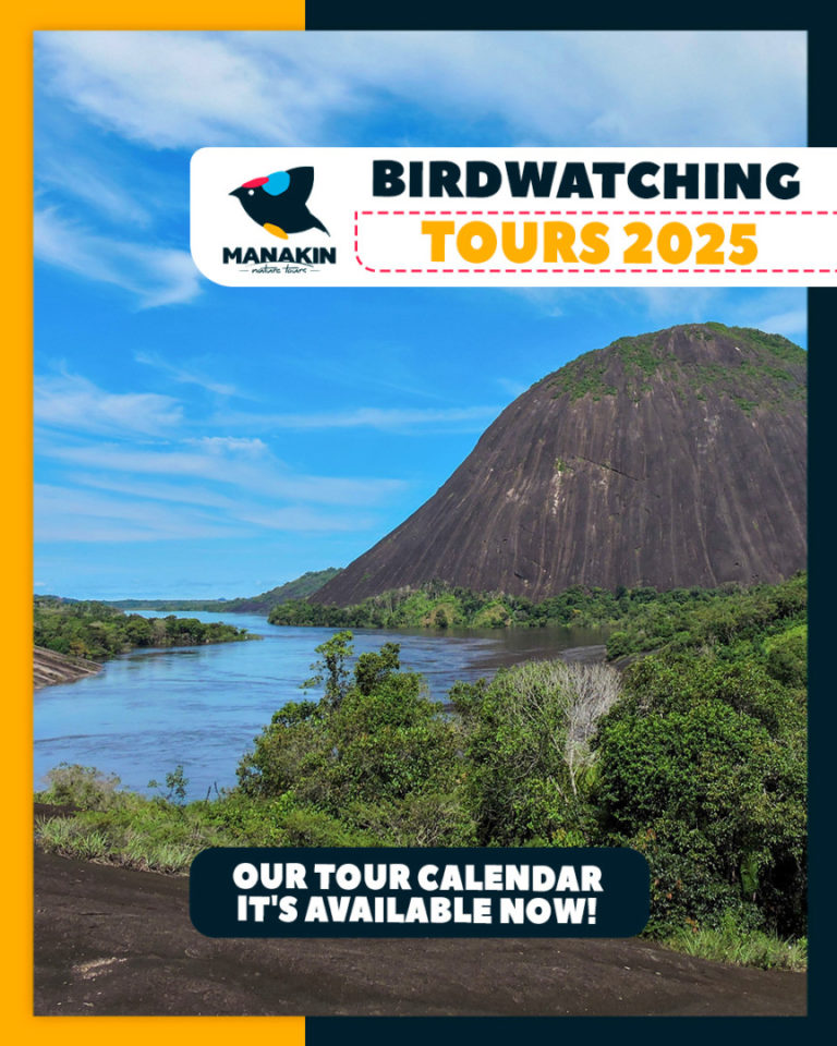 Birding Colombia - Manakin Nature Tours - Birdwatching And Wildlife Tours